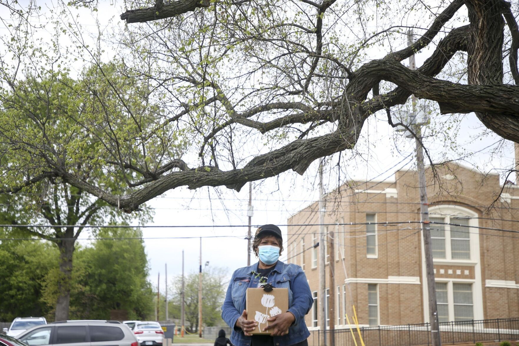 Tulsa Race Massacre Memorial Tree